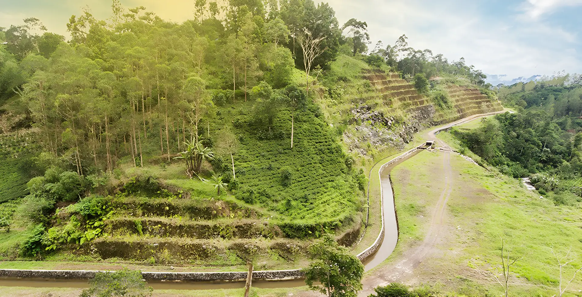 Cikopo